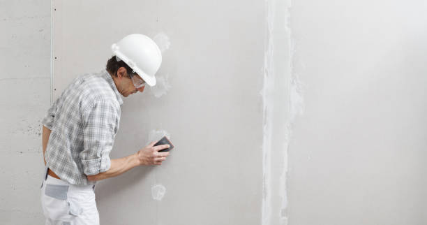 Best Mold Documentation for Insurance Claims  in Torrington, CT