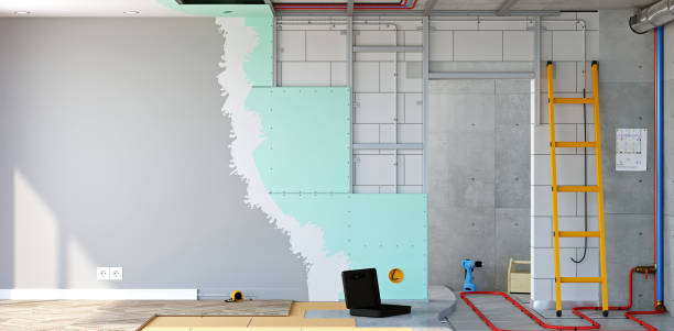 Torrington, CT Mold Removal Company