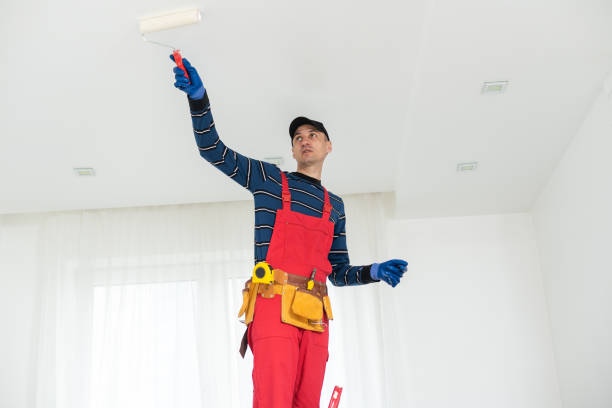 Biohazard Mold Removal in Torrington, CT