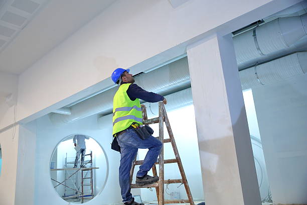 Best Environmental Consulting for Mold Prevention  in Torrington, CT