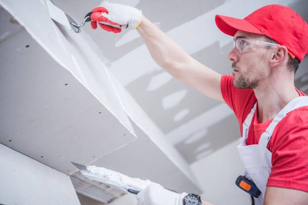 Best Biohazard Mold Removal  in Torrington, CT